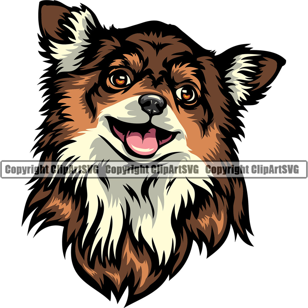 Chihuahua Dog Brown Color Head Cute Face Animal Canine K-9 K9 Puppy Purebred Pup Pedigree Clipart SVG