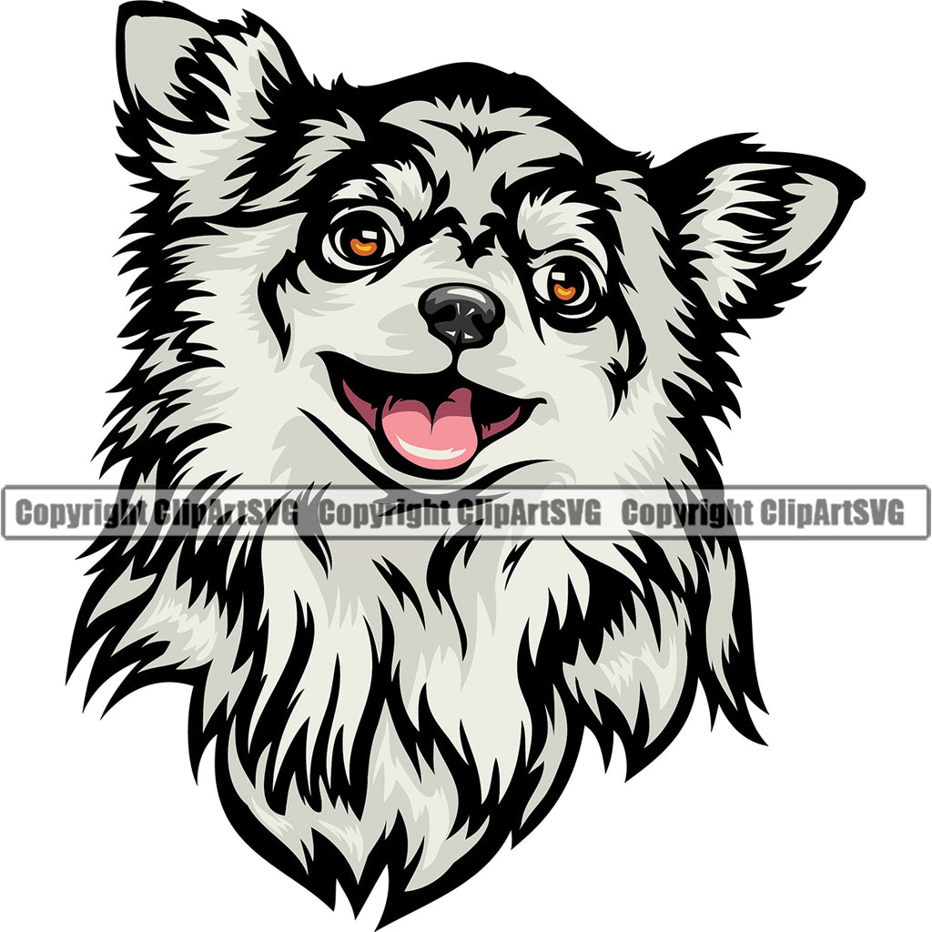 Chihuahua Dog White Color Head Animal Portrait Doggy Face Cute Puppy Head Purebred Pup Pedigree Clipart SVG