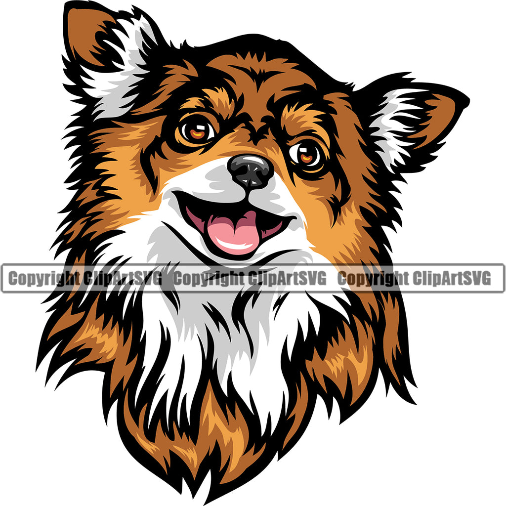 Chihuahua Dog Yellow Color Head Puppy Head Purebred Pup Pedigree K9 Animal Portrait Doggy Face Cute Clipart SVG