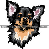 Chihuahua Dog Black Color Head K9 Animal Portrait Doggy Face Cute Puppy Head Purebred Pup Pedigree Clipart SVG