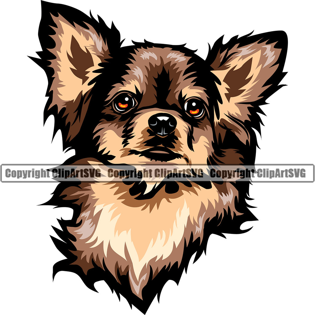 Chihuahua Dog Brown Color Head Puppy Head Purebred Pup Pedigree K9 Animal Portrait Doggy Face Cute Clipart SVG