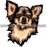 Chihuahua Dog Brown Color Head Puppy Head Purebred Pup Pedigree K9 Animal Portrait Doggy Face Cute Clipart SVG