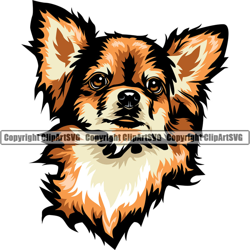 Chihuahua Dog Yellow Color Head Cute Face Animal Puppy Head Purebred Pup Pedigree Canine K-9 K9 Clipart SVG