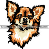 Chihuahua Dog Yellow Color Head Cute Face Animal Puppy Head Purebred Pup Pedigree Canine K-9 K9 Clipart SVG