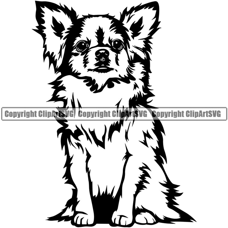 Chihuahua Dog Sitting Puppy Head Purebred Pup Pedigree K9 Portrait Doggy Face Cute Animal Clipart SVG