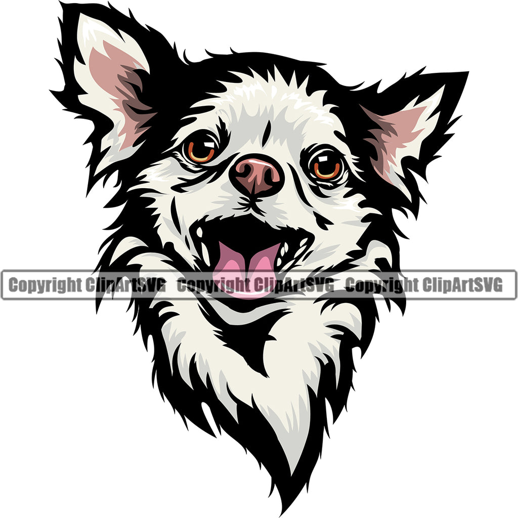 Chihuahua Dog White Color Head Puppy Head Purebred Pup Pedigree Portrait Doggy Face Cute Clipart SVG