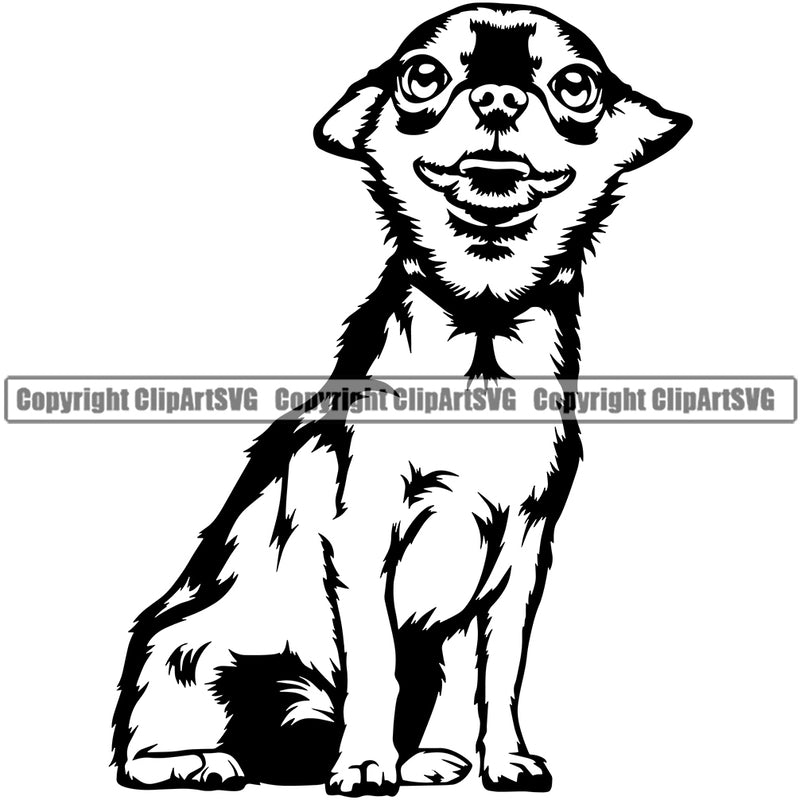 Chihuahua Dog Sitting Puppy Head Purebred Pup Pedigree K9 Animal Portrait Doggy Face Cute Clipart SVG