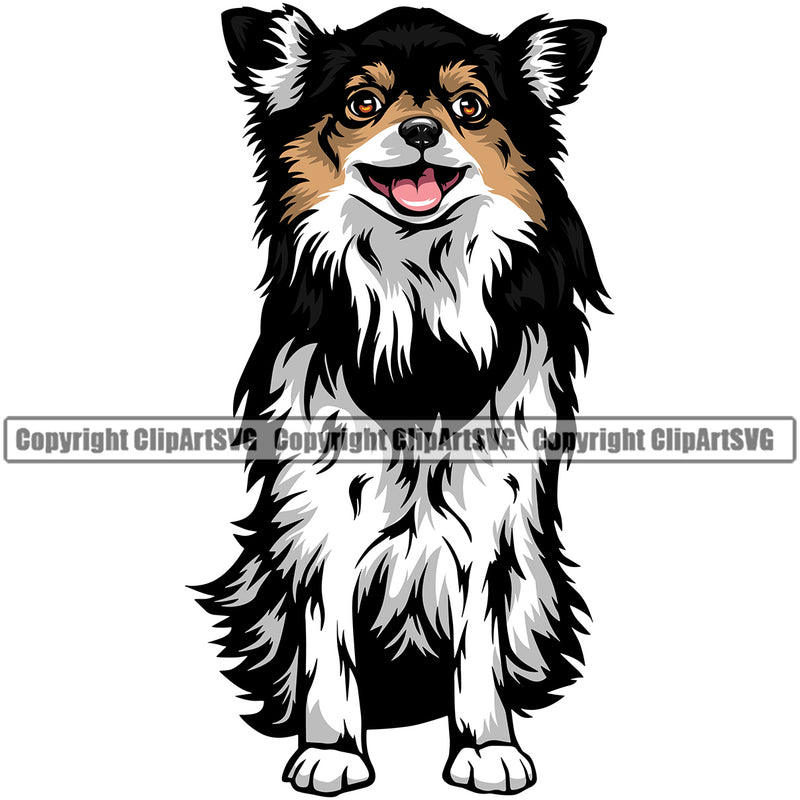 Chihuahua Dog Sitting Puppy Head Purebred Pup Pedigree K9 Animal Portrait Doggy Face Cute Clipart SVG