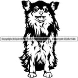 Chihuahua Dog Sitting Puppy Head Purebred Pup Pedigree K9 Animal Portrait Doggy Face Cute Clipart SVG