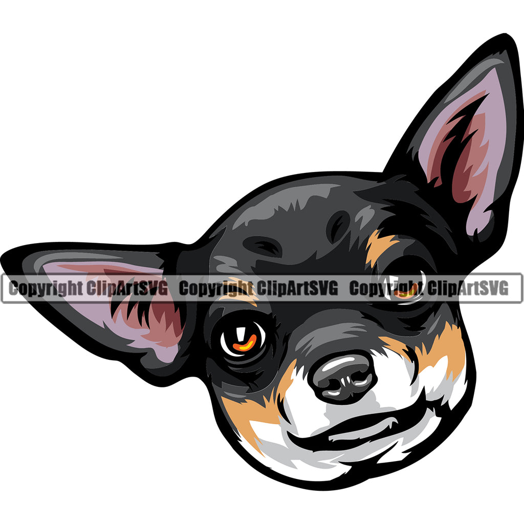 Chihuahua Dog Black Color Head Canine K-9 K9 Animal Puppy Head Purebred Pup Pedigree Clipart SVG