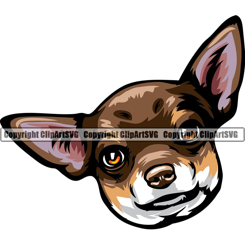 Chihuahua Dog Brown Color Head K9 Animal Portrait Doggy Face Cute Vector Puppy Head Purebred Pedigree Clipart SVG