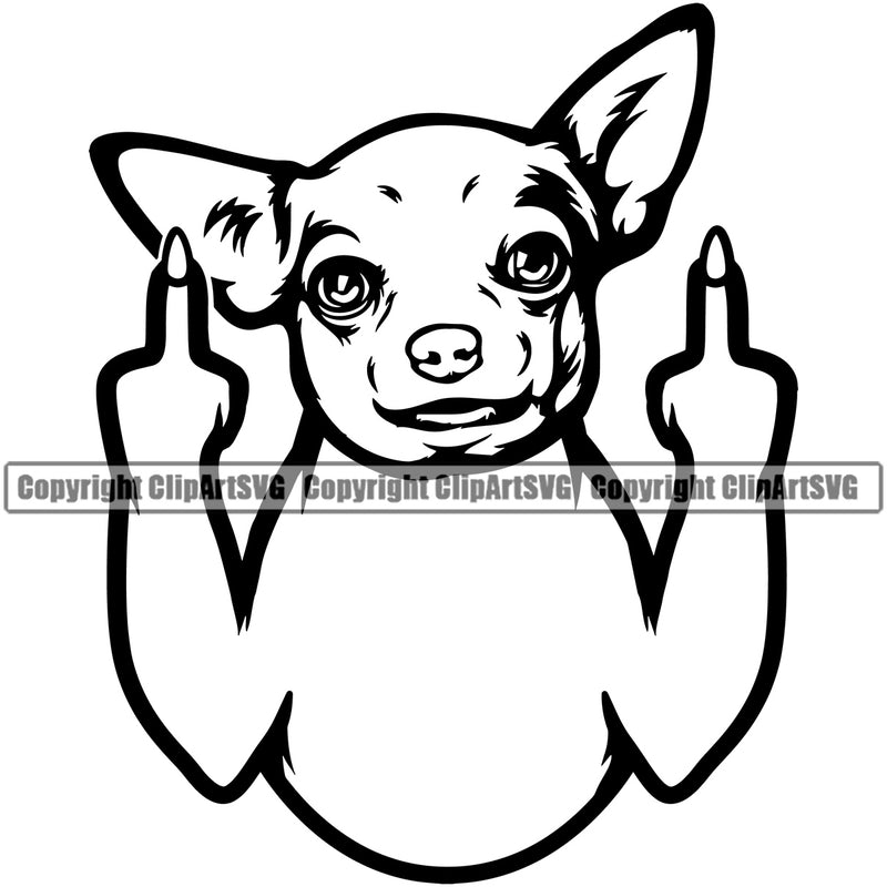 Chihuahua Dog Middle Finger Sign Puppy Head Purebred Pup K9 Animal Portrait Doggy Face Cute Clipart SVG