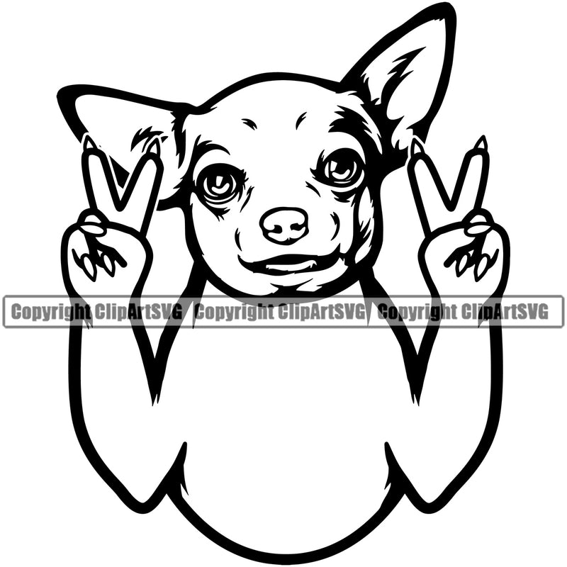 Chihuahua Dog Peace Hand Sign Puppy Head Purebred Pup Pedigree Animal Portrait Doggy Face Cute Clipart SVG
