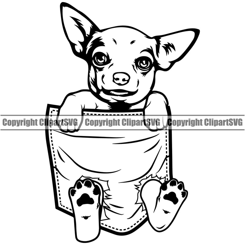 Chihuahua Dog Hanging From Shirt Pocket K9 Animal T-Shirt Portrait Tshirt Doggy Face Cute Puppy Head Purebred Clipart SVG