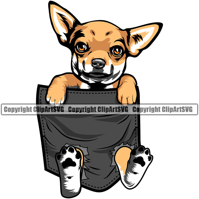 Chihuahua Dog Hanging From Shirt Pocket Animal T-Shirt Tshirt Portrait Doggy Face Cute Head Purebred Pup Pedigree Clipart SVG
