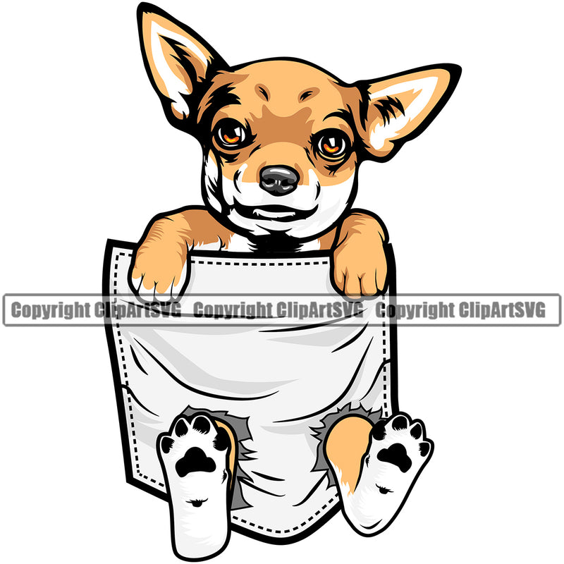 Chihuahua Dog Hanging From Shirt Pocket White Color T-Shirt Tshirt Puppy Head Purebred Pup Pedigree Portrait Doggy Face Cute Clipart SVG