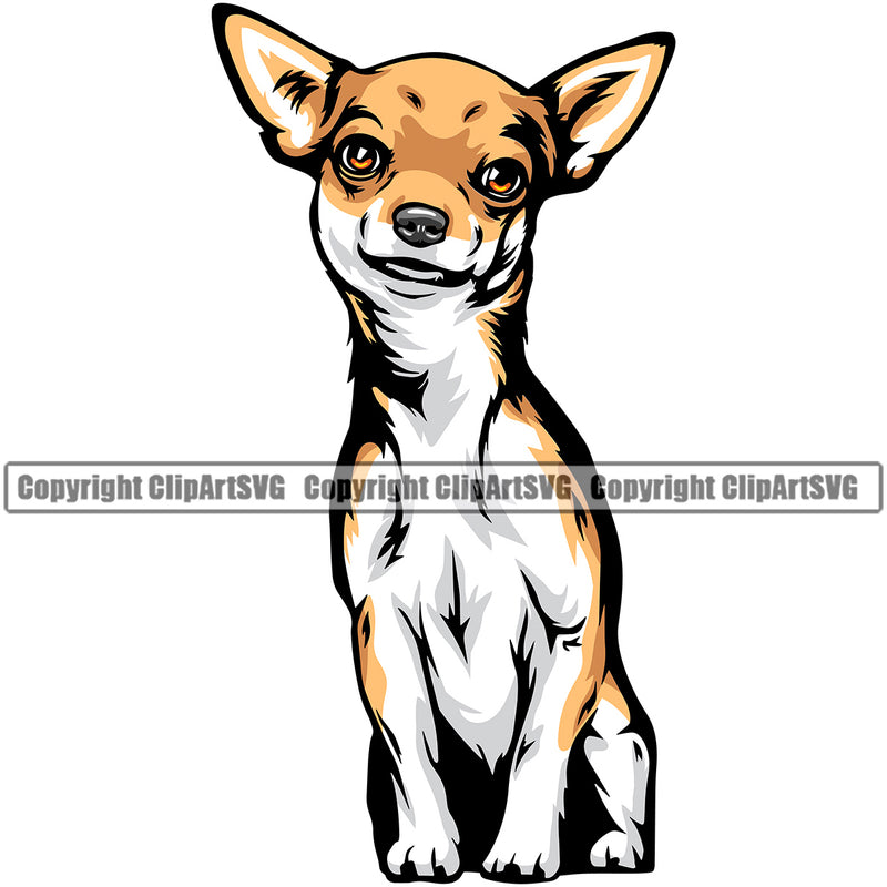 Chihuahua Dog Sitting Puppy Head Purebred Pup Pedigree Color Vector Canine K-9 K9 Animal Portrait Clipart SVG