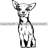 Chihuahua Dog Sitting Puppy Head Purebred Pup Pedigree K9 Animal Portrait Doggy Face Cute Vector Clipart SVG