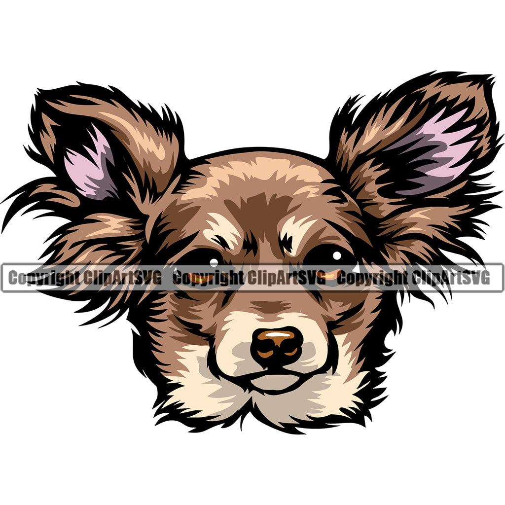 Chihuahua Dog Puppy Head Purebred Pup Pedigree K9 Animal Portrait Doggy Face Clipart SVG