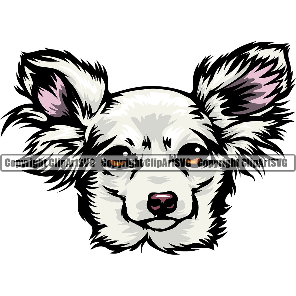 Chihuahua Dog White Color Head Puppy Head Purebred Pup Pedigree Vector Animal Portrait Doggy Face Cute Clipart SVG