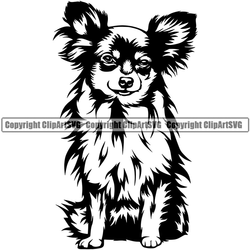 Chihuahua Dog Puppy Head Purebred Pup Pedigree K9 Animal Portrait Doggy Face Cute Clipart SVG