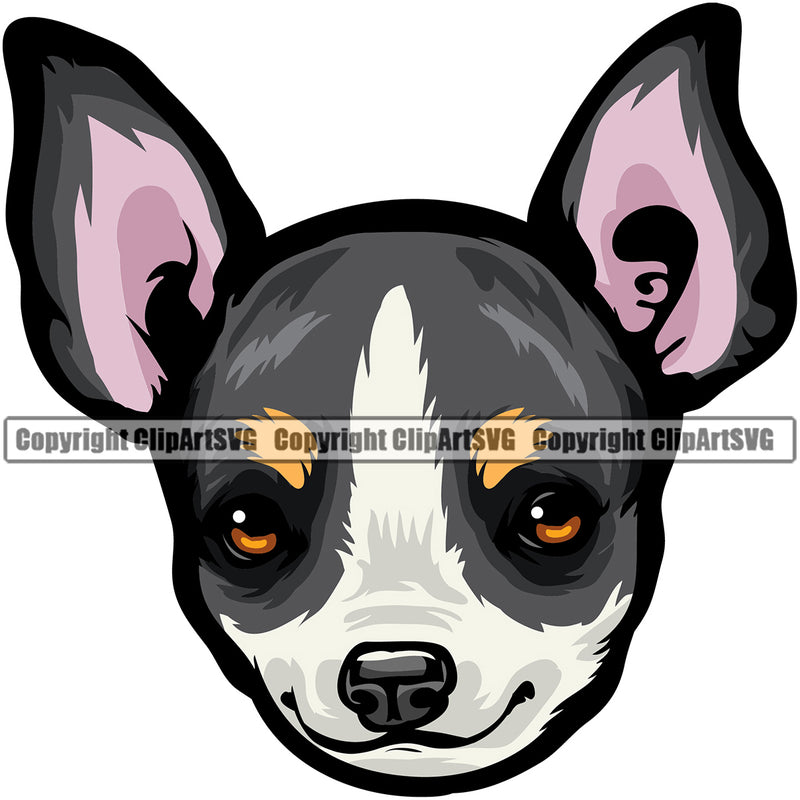 Chihuahua Dog Puppy Head Purebred Pup Pedigree K9 Animal Portrait Doggy Face Cute Vector Clipart SVG