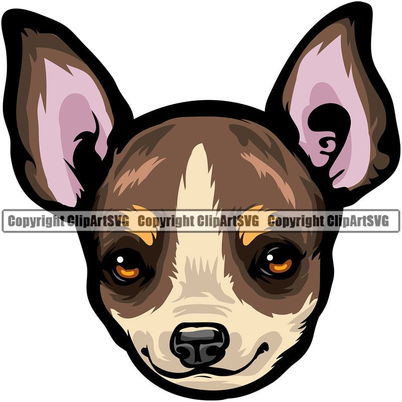 Chihuahua Dog Puppy Head Purebred Pup Pedigree K9 Animal Portrait Vector Doggy Face Cute Clipart SVG