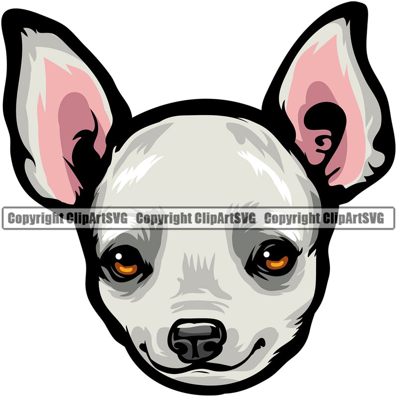 Chihuahua Dog White Color Head Puppy Head Purebred Pup Pedigree Vector K9 Animal Portrait Doggy Face Cute Clipart SVG
