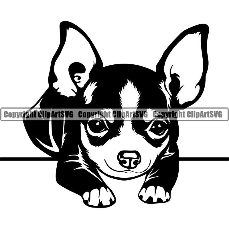 Chihuahua Dog Head Purebred Pup Pedigree Design K9 Animal Portrait Doggy Face Cute Clipart SVG