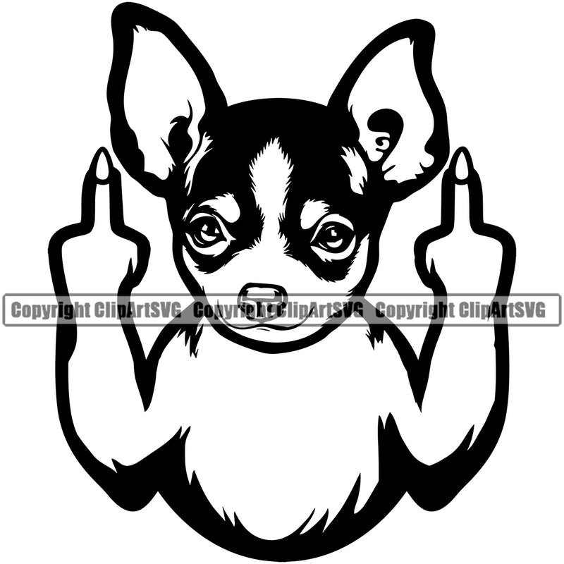 Chihuahua Dog Middle Finger Sign Puppy Head Purebred Pup Pedigree K9 Animal Portrait Doggy Face Cute Clipart SVG