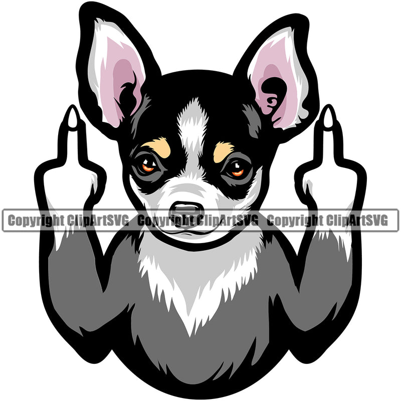 Chihuahua Dog Middle Finger Sign Puppy Head Purebred Pup Pedigree Vector K9 Animal Portrait Doggy Face Cute Clipart SVG