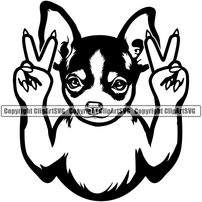 Chihuahua Dog Peace Hand Sign Vector Pup Pet Logo Pup Purebred Pedigree Funny Design Clipart SVG