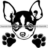 Chihuahua Dog Peeking Vector Design Smile Face Puppy Pup Pet Purebred Pedigree Design Element Clipart SVG