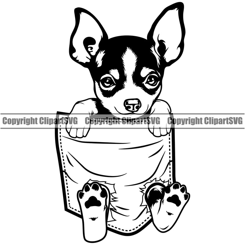 Chihuahua Dog Hanging From T-Shirt Pocket Shirt Tshirt Vector Design Happy Smile Face Puppy Pup Pet Purebred Pedigree Design Element Clipart SVG