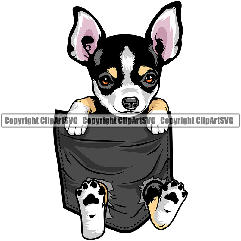 Chihuahua Dog Hanging From T-Shirt Pocket Vector Design Smile Face Puppy Pup Pet Purebred Pedigree Vector Clipart SVG