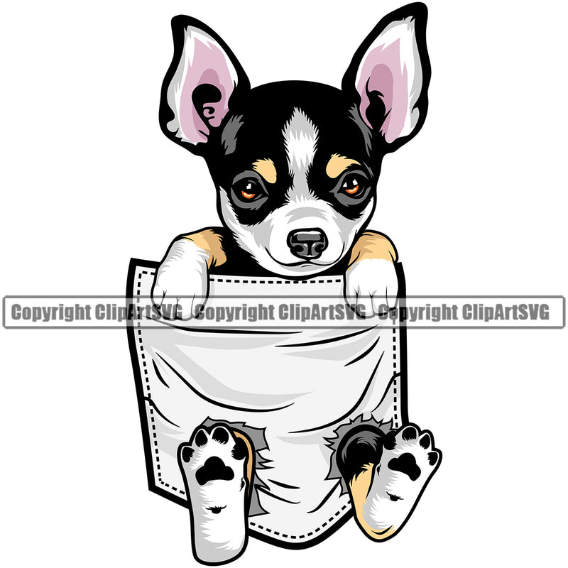 Chihuahua Dog Hanging From T-Shirt Pocket Tshirt Shirt Vector Design Happy Smiling Face Puppy Pup Pet Purebred Pedigree Vector Design Clipart SVG