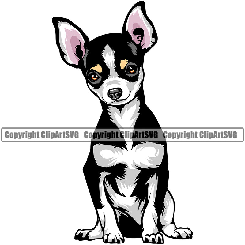 Chihuahua Dog Sitting Vector Design Smile Face Puppy Pup Pet Purebred Pedigree Vector Design Clipart SVG