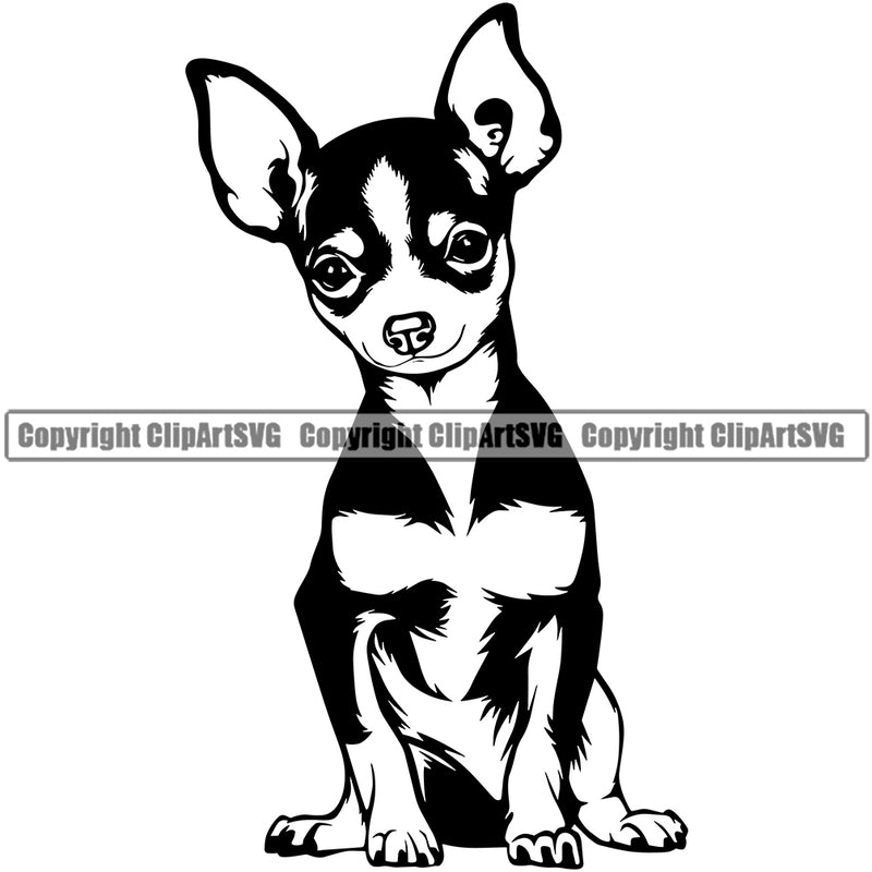 Chihuahua Dog Sitting Vector Design Happy Face Puppy Pup Pet Purebred Pedigree Vector Clipart SVG