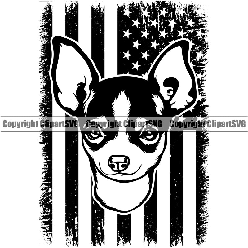 Chihuahua Dog USA Flag Vector Design Happy Face Puppy Pup Pet Purebred Pedigree Design Clipart SVG