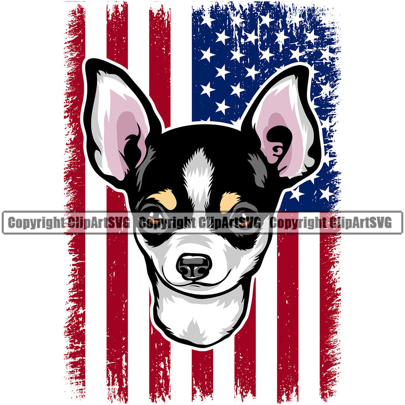 Chihuahua Dog Colorful USA Flag Vector Design Happy Face Puppy Pup Pet Purebred Pedigree Vector Clipart SVG
