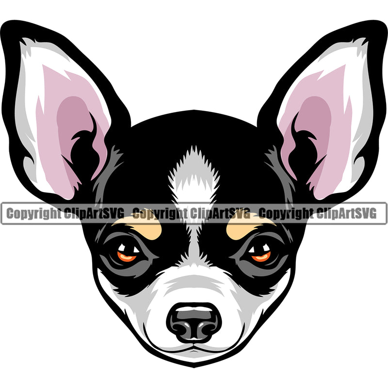 Chihuahua Dog Colorful Head Vector Design Happy Face Puppy Pup Pet Purebred Pedigree Design Element Clipart SVG