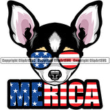Chihuahua Dog Merica Text Vector Design Colorful With Wearing Sunglasses Happy Face Puppy Pup Pet Purebred Pedigree Vector Design Clipart SVG