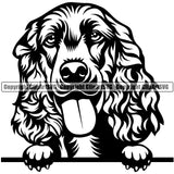 Cocker Spaniel Dog Peeking Vector Design With Long Hair Happy Face Puppy Pup Pet Purebred Pedigree Design Clipart SVG