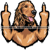 Cocker Spaniel Dog Middle Finger Vector Design Colorful With Long Hair Happy Face Puppy Pup Pet Purebred Pedigree Vector Design Clipart SVG