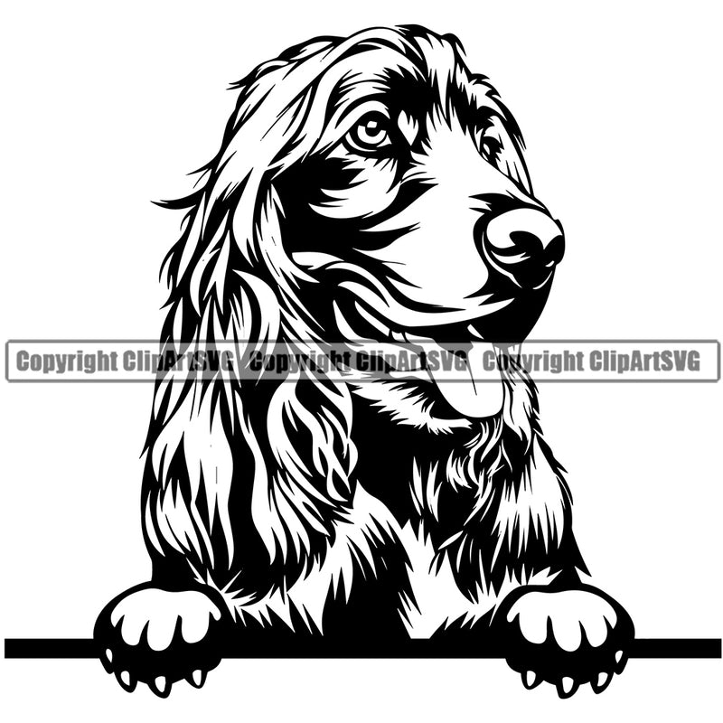 Cocker Spaniel Dog Peeking Vector Design With Long Hair Happy Face Puppy Pup Pet Purebred Pedigree Vector Clipart SVG