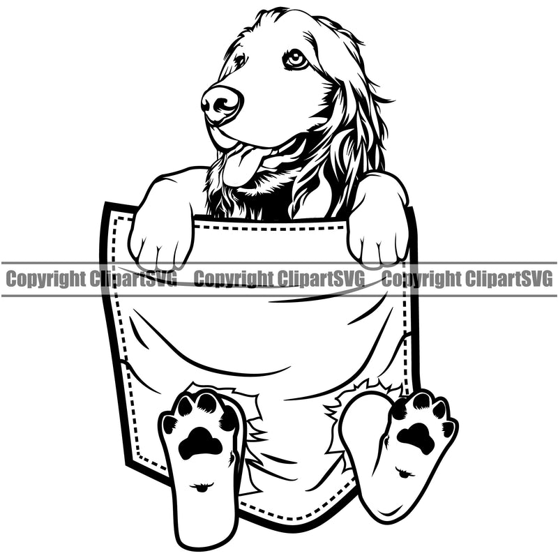 Cocker Spaniel Dog Hanging From T-Shirt Pocket Tshirt Shirt Vector Design With Long Hair Happy Smile Face Puppy Pup Pet Purebred Pedigree Vector Clipart SVG