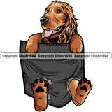 Cocker Spaniel Dog Hanging From T-Shirt Pocket Tshirt Shirt Colorful Vector Design With Long Hair Puppy Pup Pet Purebred Vector Portrait Clipart SVG