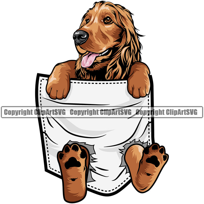 Cocker Spaniel Dog Colorful Hanging From T-Shirt Pocket Vector Tshirt Shirt Design With Long Hair Happy Smile Face Puppy Pup Pet Purebred Pedigree Vector Design Clipart SVG