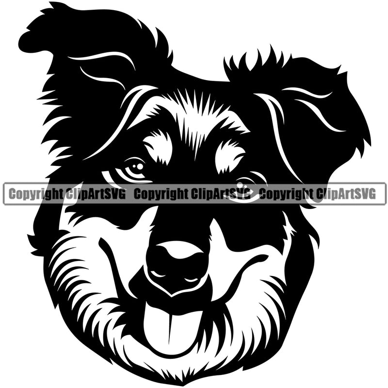 Collie Dog Head Vector Design With Moddy Face Puppy Pup Pet Purebred Pedigree Design Element Clipart SVG