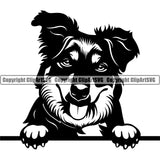 Collie Dog Peeking Vector Design With Happy Smiling Face Puppy Pup Pet Purebred Pedigree Vector Design Clipart SVG